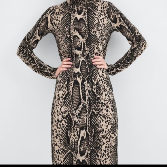 Zara Snakeskin Longsleeve Turtleneck Dress - Picture 4 of 5